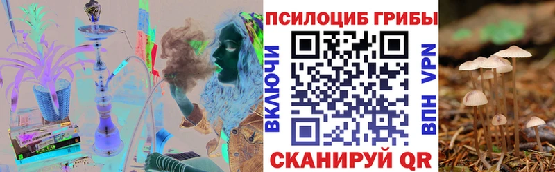 как найти наркотики  МЕГА вход  Галлюциногенные грибы ЛСД  Кола 